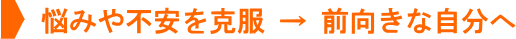 Y݂s@ˁ@OȎ